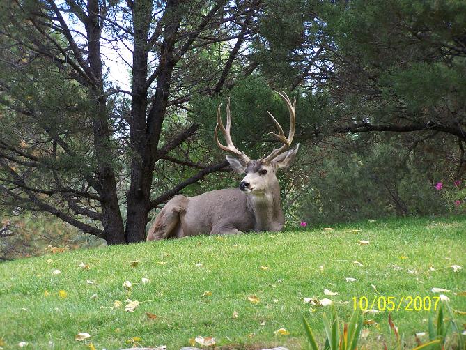 Woodbridge Townhomes Photo Album 3